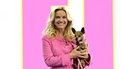 Reese Witherspoon vuelve a ser Elle Woods para revelar los detalles de la serie sobre Una rubia muy legal