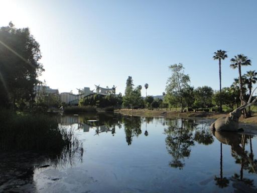 8 teens on La Brea Tar Pits trip hospitalized after ingesting 'cannabis edibles,' LAFD says