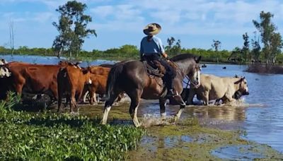 Crecida de los ríos Uruguay y Paraná