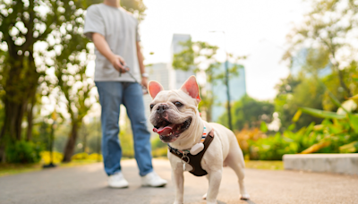 New Report Says These 10 U.S. Cities Have the Best Dog Parks