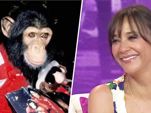 Rashida Jones recalls being bit by Michael Jackson's chimpanzee Bubbles: 'I have a scar'