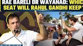 LS Results 2024: Rahul Gandhi’s Massive Win in Rae Bareli and Amethi Constituencies | Watch