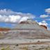 Petrified Forest National Park