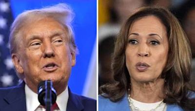 Harris and Trump offer worlds-apart contrasts on top issues in presidential race