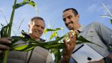 Se viene un evento sobre la transformación digital en el agro