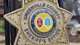 Court overturns conviction, but Greenville man already endured taser use, 10 days in jail
