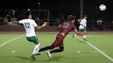 High school soccer: In its third season, Matilda Torres High captures Division V boys title