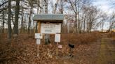 How a local nonprofit is restoring Willow Creek with a $280K grant and water quality testing