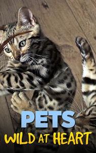 Pets: Wild at Heart