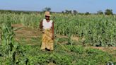 Cada vez más trabajadores sufren riesgos de salud por el cambio climático