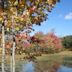 Verona Beach State Park