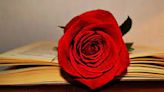 Por qué hay que regalar un libro y una rosa el 23 de abril | Sociedad