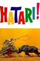 Hatari!