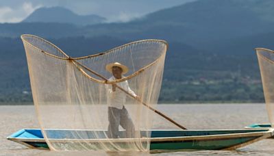 Mexique: opération sauvetage d'un lac au pays des bancs de poissons morts