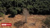 Por que Amazônia virou ‘barril de pólvora’ e queimadas batem recordes