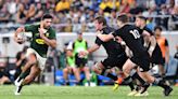 Rugby Championship 2024: The Springboks path to glory