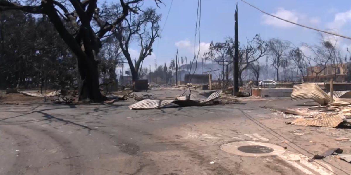 HECO files counterclaim, alleging Maui County is at fault for Lahaina wildfire disaster