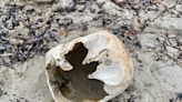 Tourists find human skull on Big Glace Bay Beach