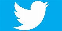 Why The Twitter Logo Is A Bird Called Larry - Screen Rant