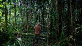 En Amazonie colombienne, scientifiques et Amérindiens reboisent la forêt inondable