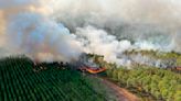 Incendios azotan partes de Europa en medio de ola de calor