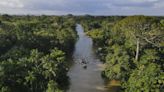Los presidentes de la Amazonía se reúnen en Brasil para detener la devastación de la selva
