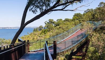 ‘For a short few weeks you realise the desert is truly alive’: Guardian Australia readers’ favourite wildflower spots