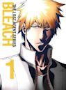 Bleach season 16