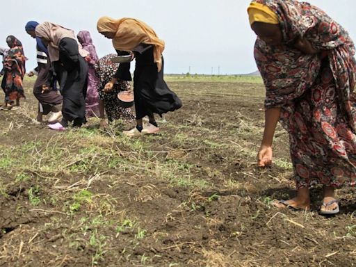 In Sudan, Women Forced To Line Up For Sex With Soldiers For Food: Report