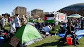 Palestinian flag raised at Harvard was put there by protestors, not the school | Fact check