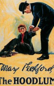 The Hoodlum (1919 film)