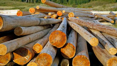 This timber ETF could be on the verge of a breakout, Wolfe Research says