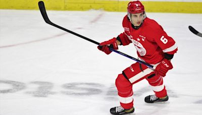 LaSalle native traded from Detroit Red Wings