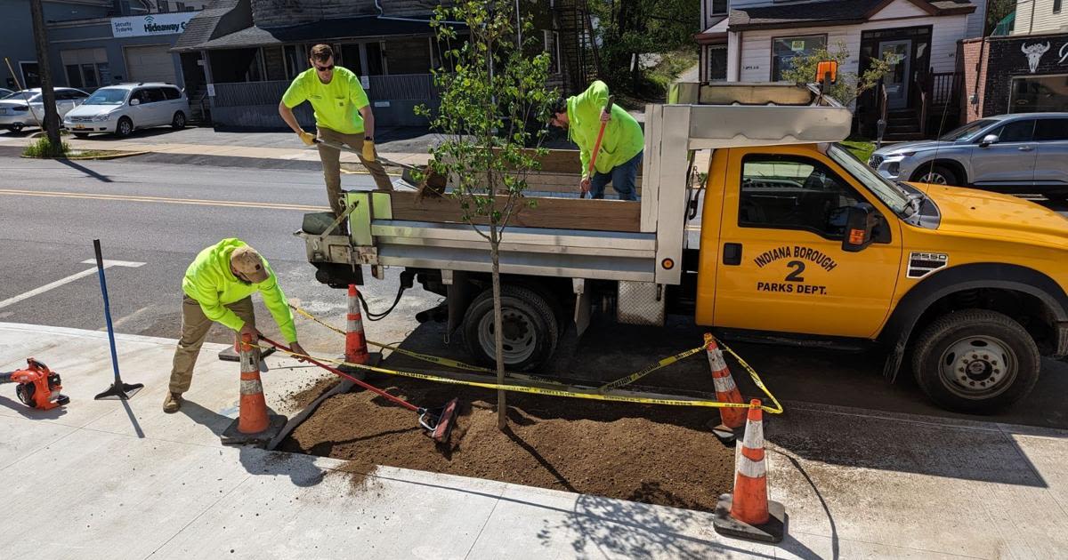 Tree planted to beautify Indiana downtown business district