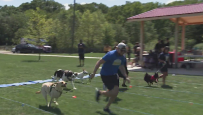 Furry friends get in on the Olympic action at Camp Bow Wow's "Paw-lympics"