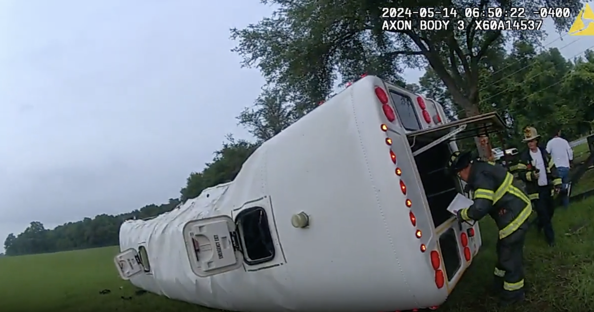 Video footage shows aftermath of Florida bus crash that killed at least 8