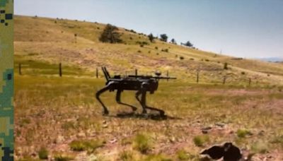 Robot dogs armed with AI-aimed rifles undergo US Marines Special Ops evaluation