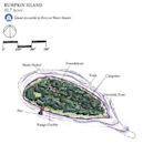 Bumpkin Island