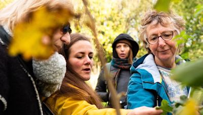 'Citizen scientists' make key contribution to biodiversity data