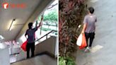 Man allegedly feeds pigeons in Chinatown almost daily despite it being illegal