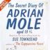 The Secret Diary of Adrian Mole (TV series)