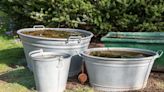 Gardeners urged put bucket of water in garden for July and August