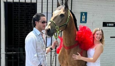 Cuánto cuesta el caballo que Mía Rubín recibió como regalo por su primer aniversario con Tarik Othon
