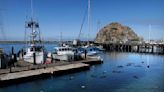 Sewage spills cause beach closures in Morro Bay and San Diego