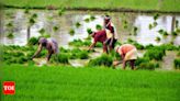 In 15 years, over 25% of farmers’ suicides in India are from Andhra Pradesh & Telangana | Visakhapatnam News - Times of India