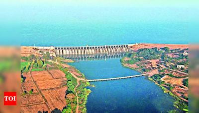 Drone spotted over Jayakwadi dam, police investigation underway | Aurangabad News - Times of India