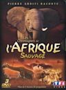 Chroniques de l'Afrique sauvage