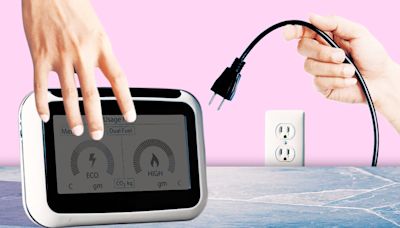 Should you say no to getting a smart meter?