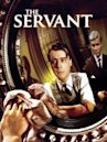 The Servant