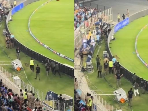 IPL 2024: Gujarat Security Crew Brutally Beat A Dog During GT vs MI Clash At Narendra Modi Stadium | WATCH Inhumane VIDEO